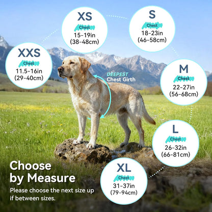 VIVAGLORY Dog Fleece Coat + Short Dog Leash, Easy to Take on and Off, Padded Neoprene & Heavy Duty