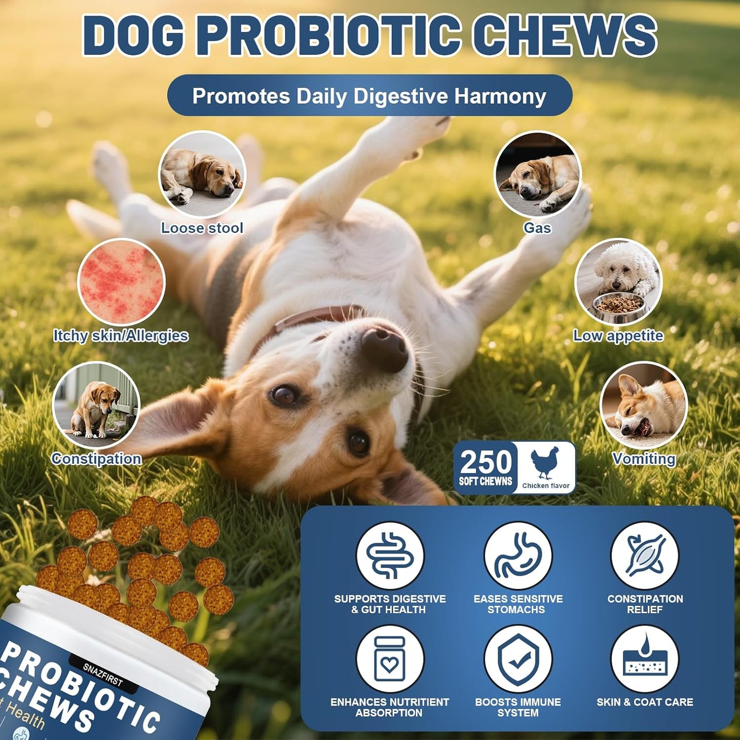 Probiotics for Dogs, Dog Probiotics Chews for Digestive Health & Gut Health, Improve Immune System,Constipation & Diarrhea Relief(Chicken Flavor, 250 Chews)