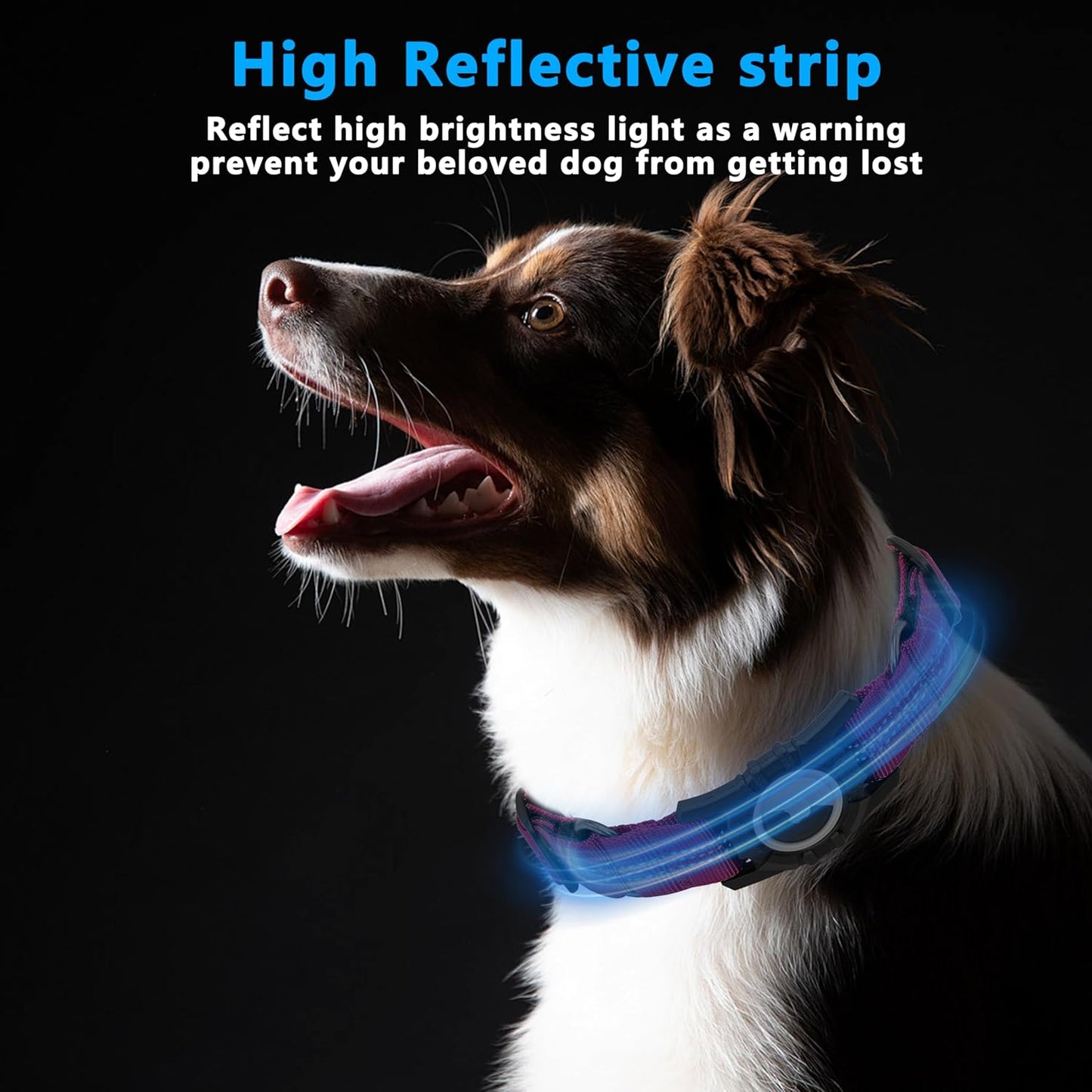 Airtag Dog Collar, Upgraded Reflective Airtag Dog Collar Holder, Heavy Duty Pet Collar with Airtag Holder, Adjustable Nylon Puppy Collars for Small Medium Large Dogs(S(12.6’’-14.5’’), Rose red)