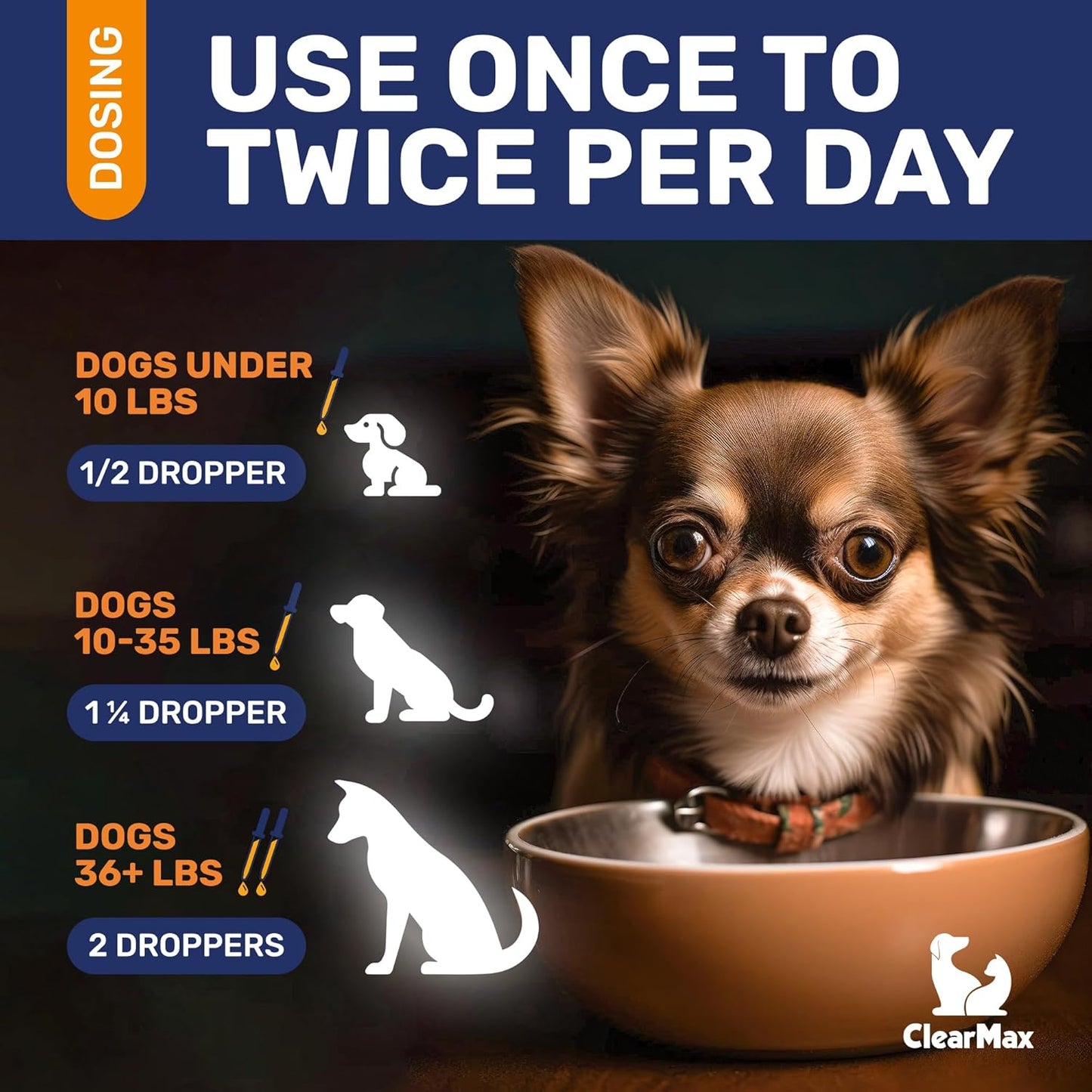 Dog Antibiotics for Infections, Allergies, Coughs – Natural Antibiotics for Dogs with Cranberry Provide Urination & Digestion Care – Natural Ingredients + Bacon Flavor – 2 Oz