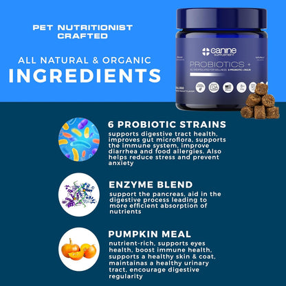 Probiotics for Dogs | Soft Chews with Digestive Enzymes, Pumpkin & Prebiotics | Supports Gut Health, Immunity, Stool Quality & Nutrient Absorption | Peanut Flavor, 90 Count