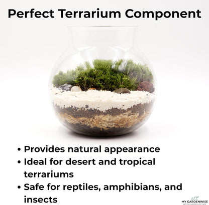 Fine Sand for Plants – Horticultural Sand for Succulents, Cactus, Potting Mixes, Terrariums & Decorative Indoor Gardens, Made in USA (1 Quart - 2.8 lbs)