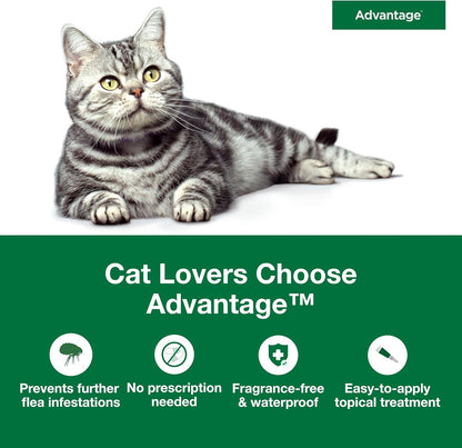 Advantage Topical Cat Flea Treatment and Prevention for Large Cats Over 9 lbs. | Apply Flea Drops Monthly | 2 Treatments