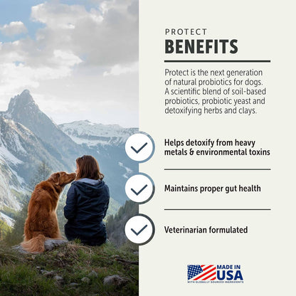Four Leaf Rover Protect - Probiotics for Dogs - Veterinarian Formulated - with Natural Prebiotics and Antioxidants - Detoxification & Gut Health - 30 Day Large Dog Supply