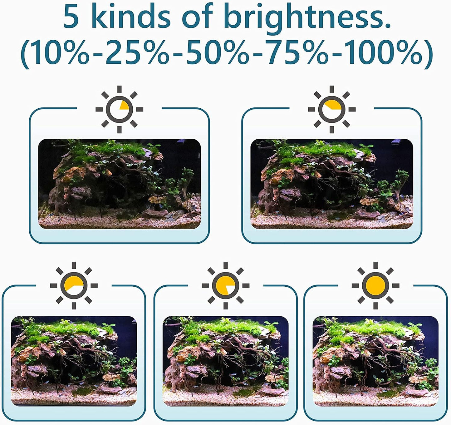 hygger Clip On 24/7 Lighting Aquarium LED Light,Sunrise-Daylight-Moonlight and DIY Mode, Adjustable Timer/Brightness Fish Tank Light with 7 Colors for Planted Tank (14W for 12~20in Tank)