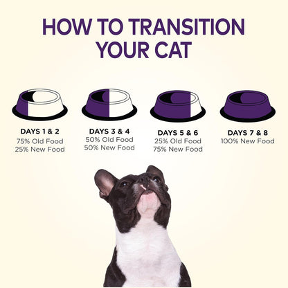 Wellness Natural Pet Food Complete Health Natural Grain Free Dry Dog Food, Chicken, 24-Pound Bag