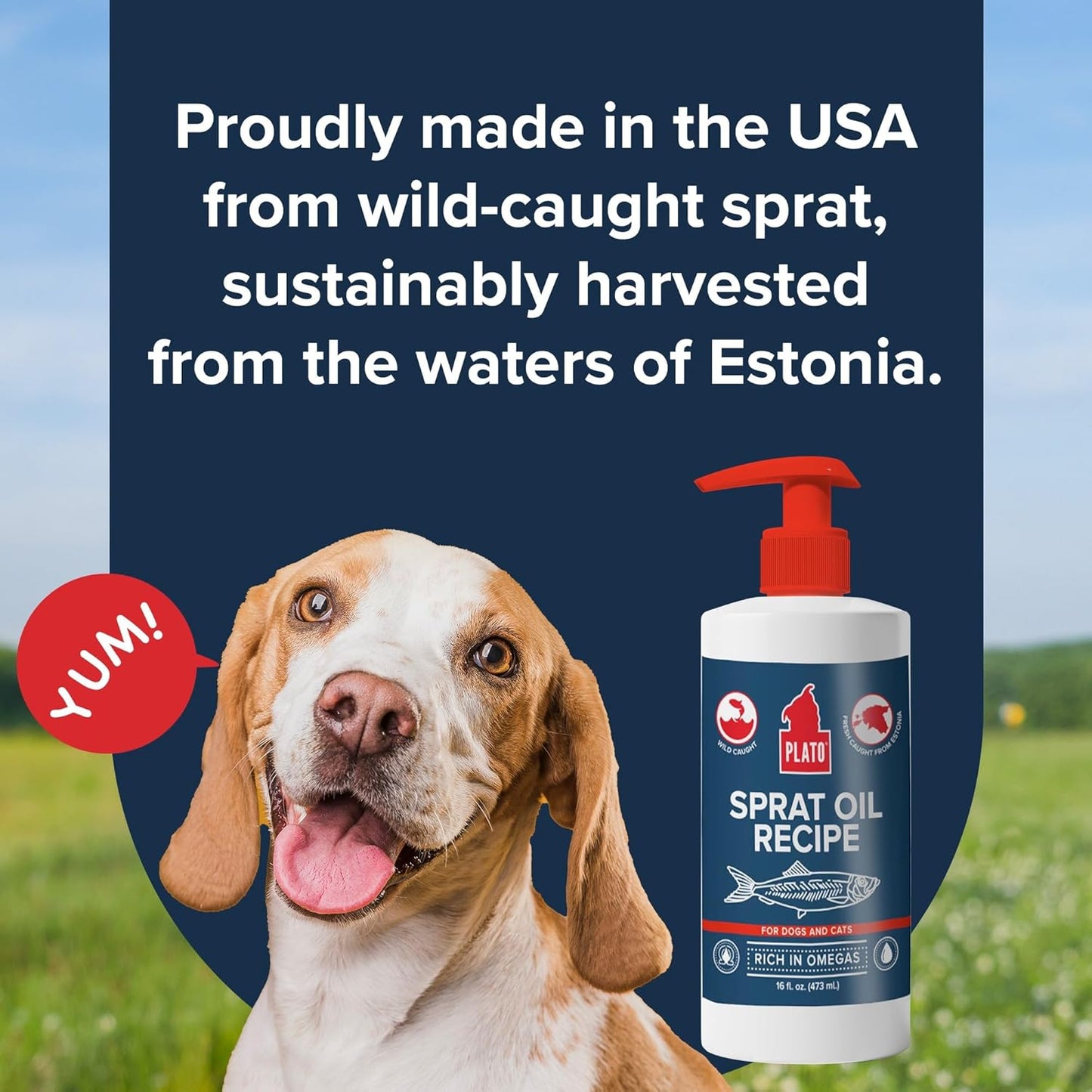 Plato Pet Treats Fish Oil for Dogs - Omega 3 Oil for Dogs - Supports Healthy Skin and Coat - Baltic Sprat Oil Recipe 8 Ounces