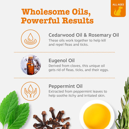 Zesty Paws Flea and Tick Spray for Dogs - Kill Fleas, Ticks & Their Eggs - Veterinarian Formulated - Soothes Itchy & Irritated Dog Skin - Cedarwood Oil, Rosemary Oil & Peppermint Oil