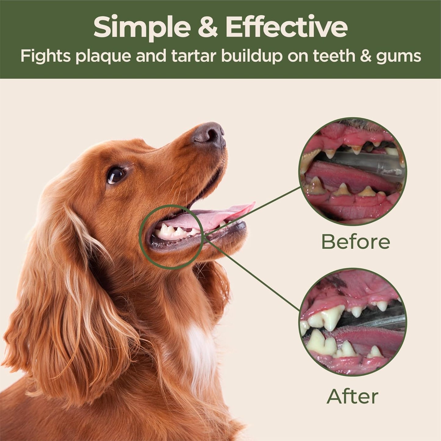 Dental Finger Wipes for Dogs and Cats, Hypoallergenic Teeth Cleaning Pet Wipes Designed to Freshen Breath, Remove Tartar & Plaque Buildup, Safe & Gentle Ingredients, 50 Count