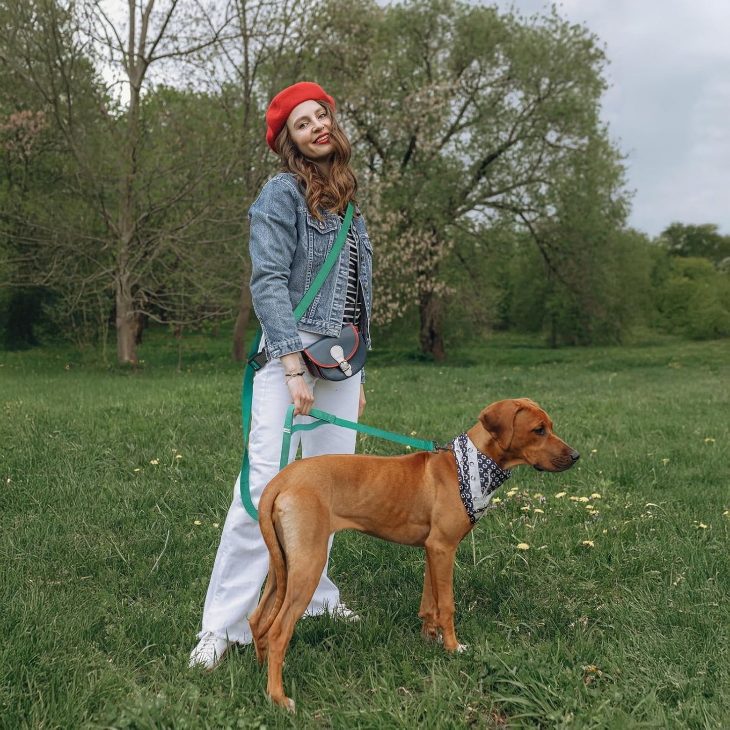 Hands Free Dog Leash,Galaxy Reflective Crossbody Leash, 5.4–9.5 ft Adjustable Heavy Duty Waist Belt for Medium and Large Dogs Walking,Running,Jogging,Training,Night Walking （290cm, Green