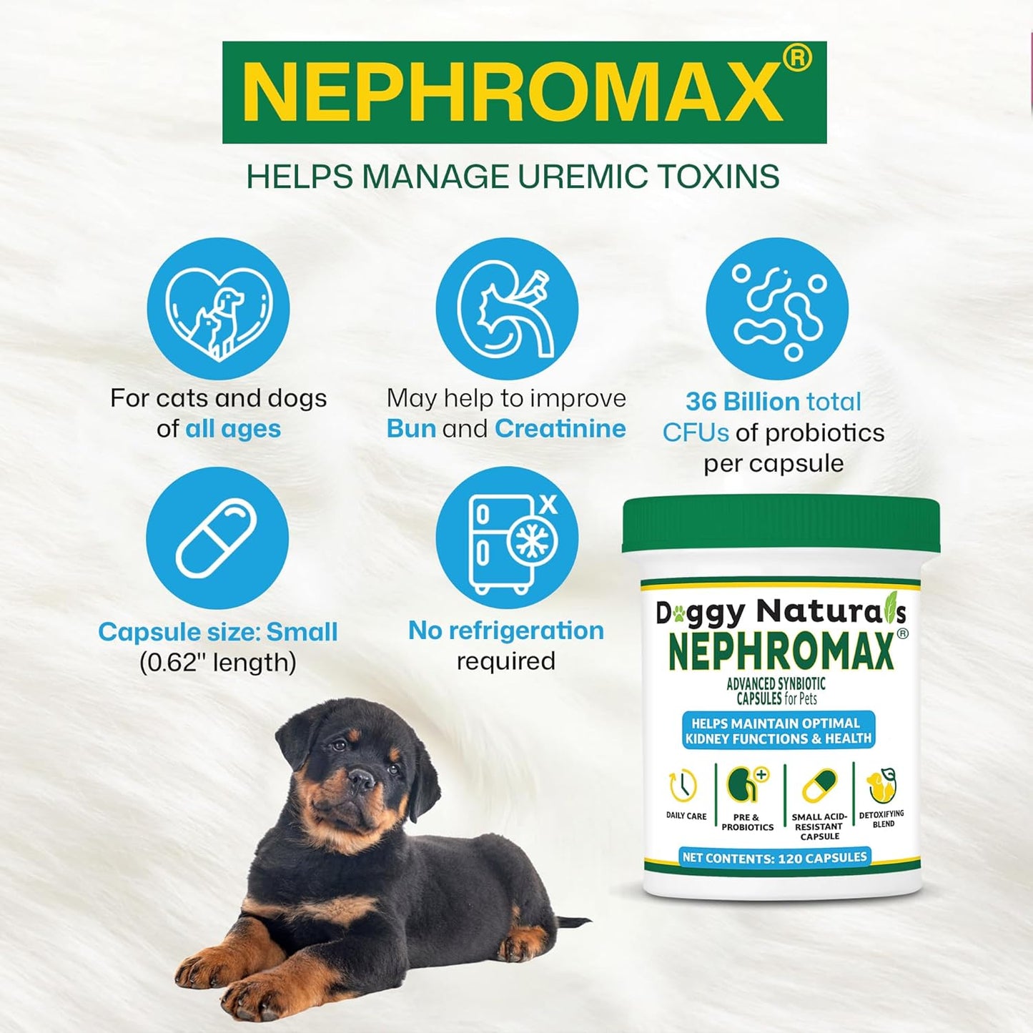 NEPHROMAX™ Synbiotic Capsules Dogs Cats (240 Caps)- Kidney Support Supplement for Cats & Dogs, Probiotics & Prebiotics for Digestive Health, Small & Easy-to-Swallow Capsules Made in The USA
