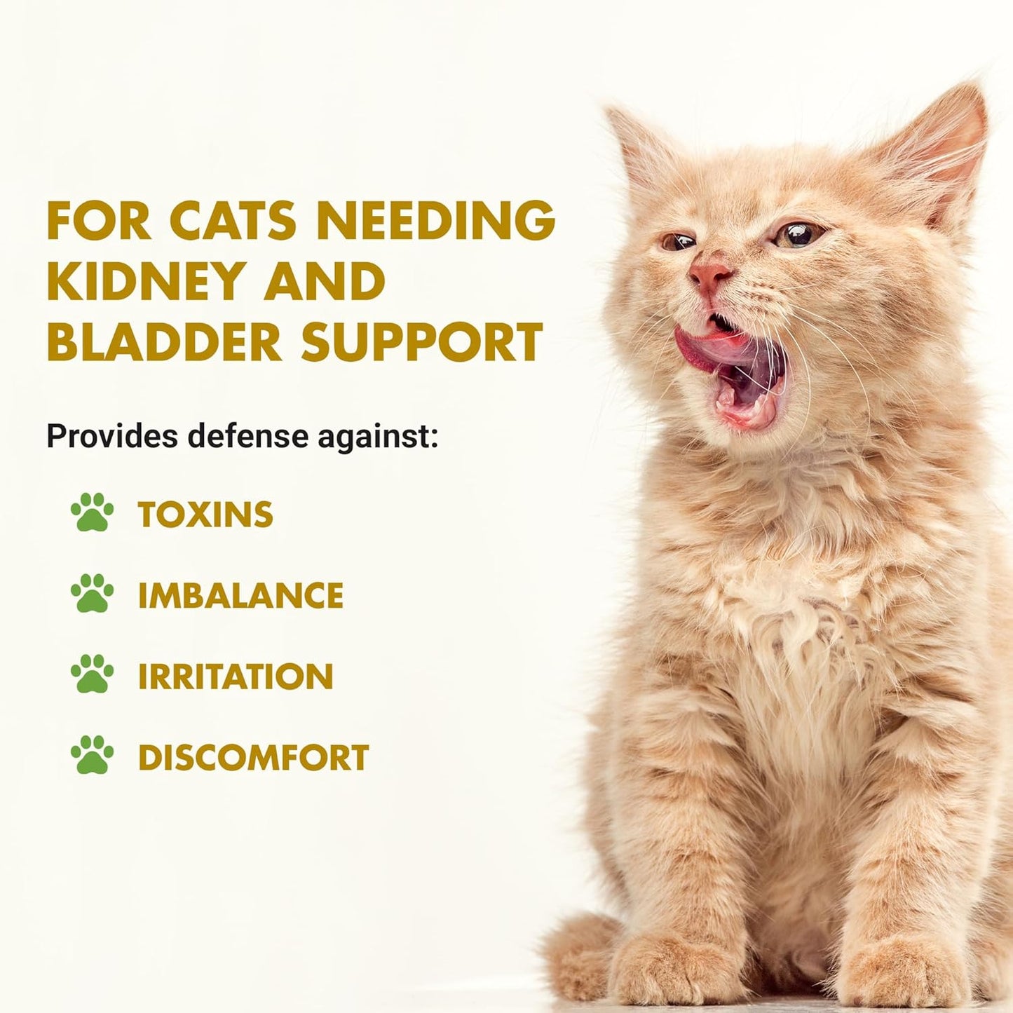 LIQUID-VET Feline Kidney & Bladder Advanced Formula, Seafood Flavor, 8 oz