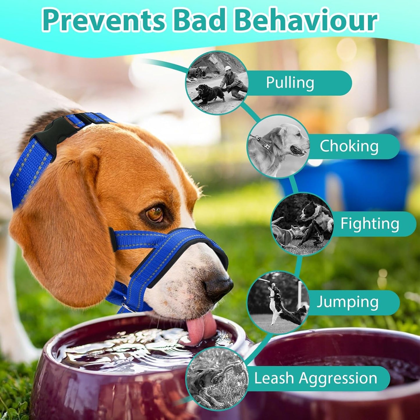 Dog Head Collar, Adjustable Dog Mouth Guard, Reflective Dogs Mouth Harness with Padded Nose Band, No Pull Head Collar Soft Dogs Muzzle for Medium Large Pets (Blue, L (Snout: 11.6"-14.8"))