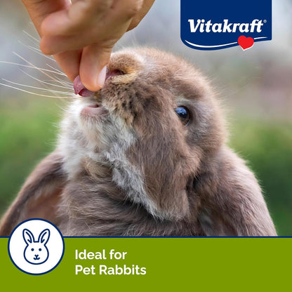 Vitakraft Drops Rabbit Treats with Wildberry Flavor – 5.3 oz Delicious Yogurt-Based Snacks for Rabbits, Guinea pigs, Hamsters, Gerbils, Mice, Rats, Chinchillas, and other Small Animals.