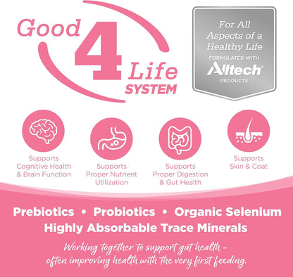 NutriSource Pure Vita Limited Ingredient Grain Free Dry Dog Food, Small Bites, Salmon and Peas, 12LB