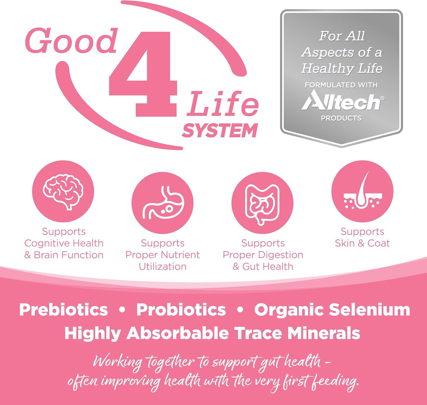 NutriSource Pure Vita Limited Ingredient Grain Free Dry Dog Food, Small Bites, Salmon and Peas, 12LB