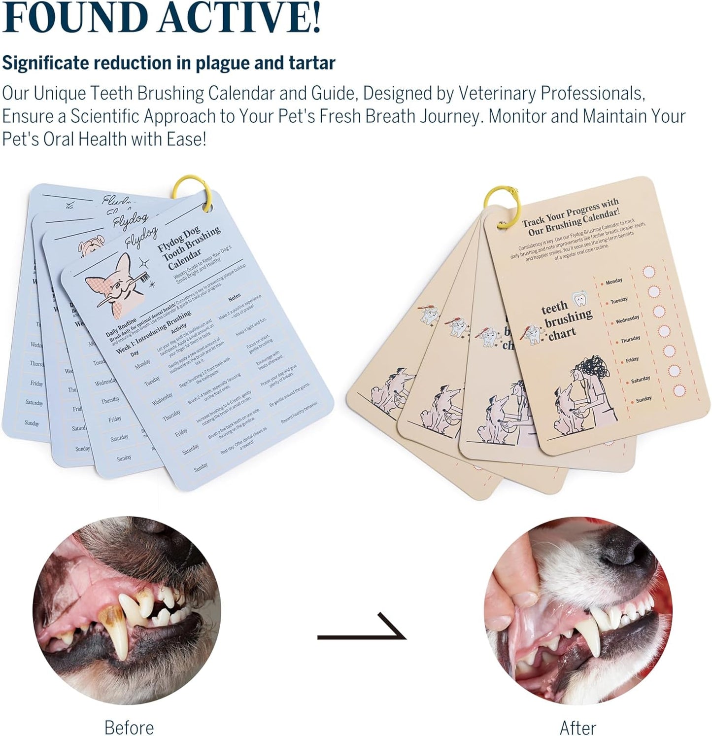 FlyDog Fresh Kiss Dog Tooth Brushing Kit - Vet Approved Formula, Enzymatic Dog Toothpaste and Brush - Breath Freshener & Tartar Remover, 360° Toothbrush & Finger Brush, Dental Guide, Chicken Flavor