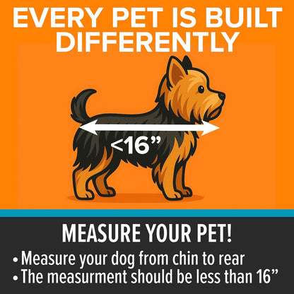 K&H Pet Products Bike Basket Front Dog Carrier, Universal Fit Cat Dog Pet Bike Basket with Front Bicycle Mount Included, Washable Liner, Strong Metal Basket, 2 Safety Leashes - Large 16 X 12 X 10in