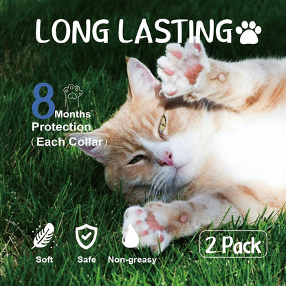 Flea Collar for Cats, Flea and Tick Collars for Kittens, Flea & Tick Treatment Prevention, Natural Essential Oil, 2 Pack, 16 Months Protection, One Size Fits All, Waterproof