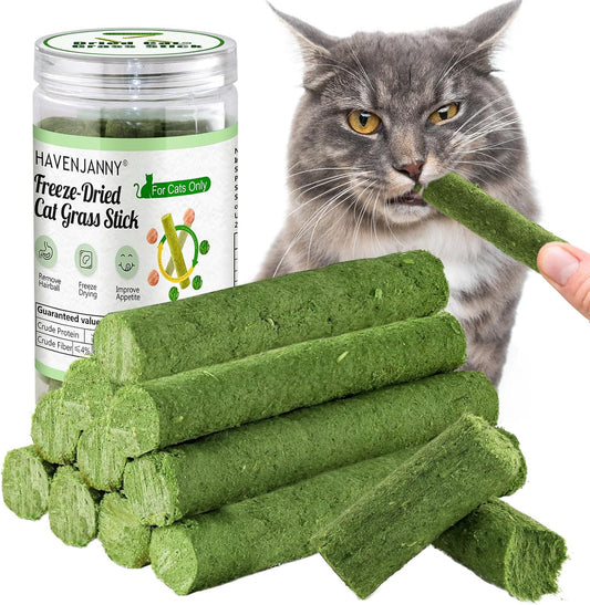 HavenJanny 50g/1.76oz Cat Grass Teething Stick, Cat Grass Stick Canned for Indoor Cats, Cats Treats Hairball Relief and Teeth Cleaning