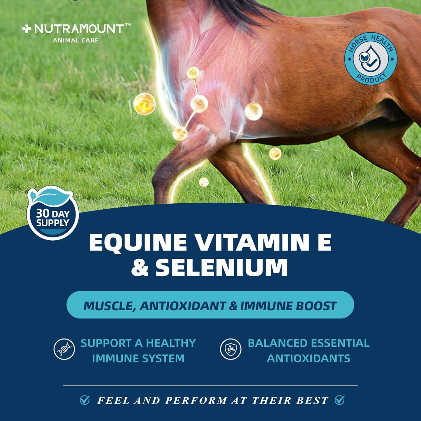 Balanced Natural Vitamin E & Selenium Powder Horse Supplement Supports Overall Health and Performance 30-Day Supply