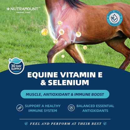 Balanced Natural Vitamin E & Selenium Powder Horse Supplement Supports Overall Health and Performance 30-Day Supply