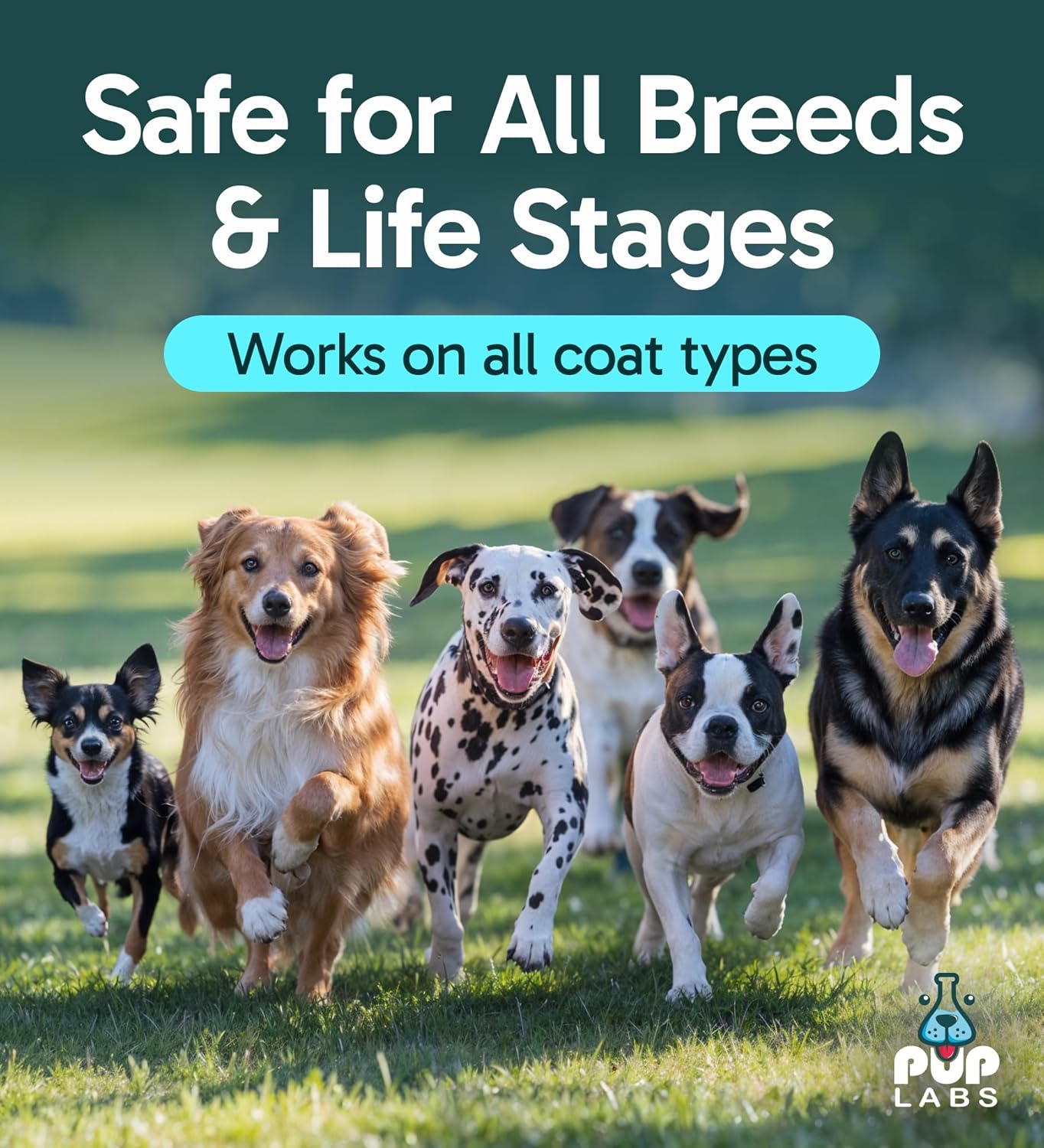 K9 Soothe Anti Itch Spray for Dogs with Aloe, Rose, & Coconut, Natural Hot Spot Treatment for Dogs That Soothes Irritation, Pet Skin Treatment Spray, 4 FL OZ