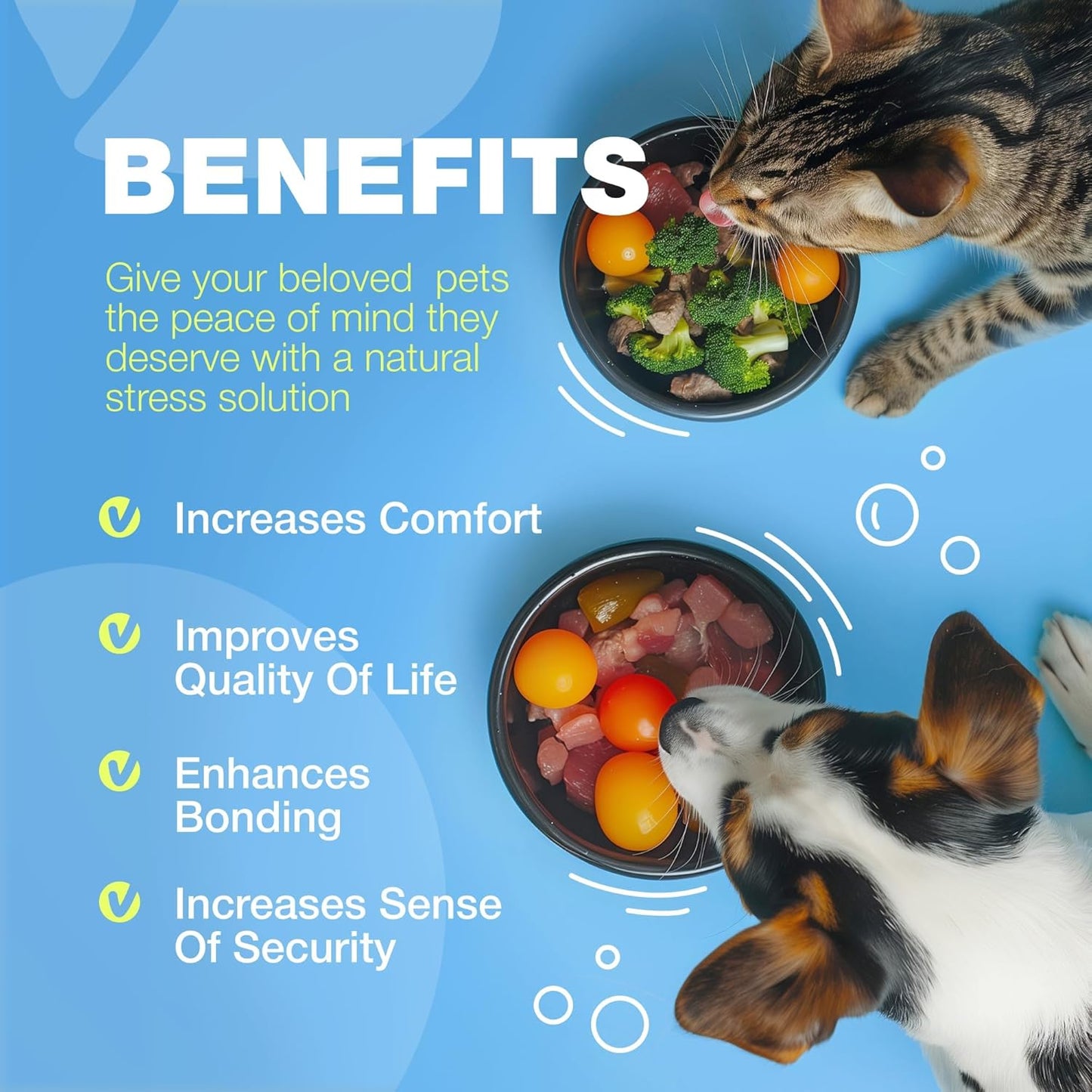 Omega 3 Fish Oil for Dogs and Cats - Healthy Skin and Coat Support Supplement - Omega 3 6 9 EPA DHA Fatty Acids - Itchy Skin, Shedding, Immunity, Joint - Wild Caught Salmon and Pollock Food Topper