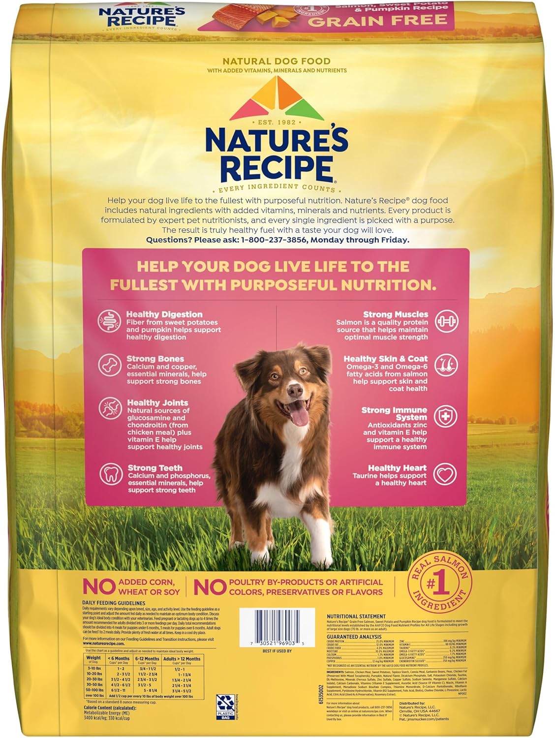 Nature's Recipe Grain Free Dry Dog Food, Salmon, Sweet Potato & Pumpkin Recipe, 34 lb. Bag