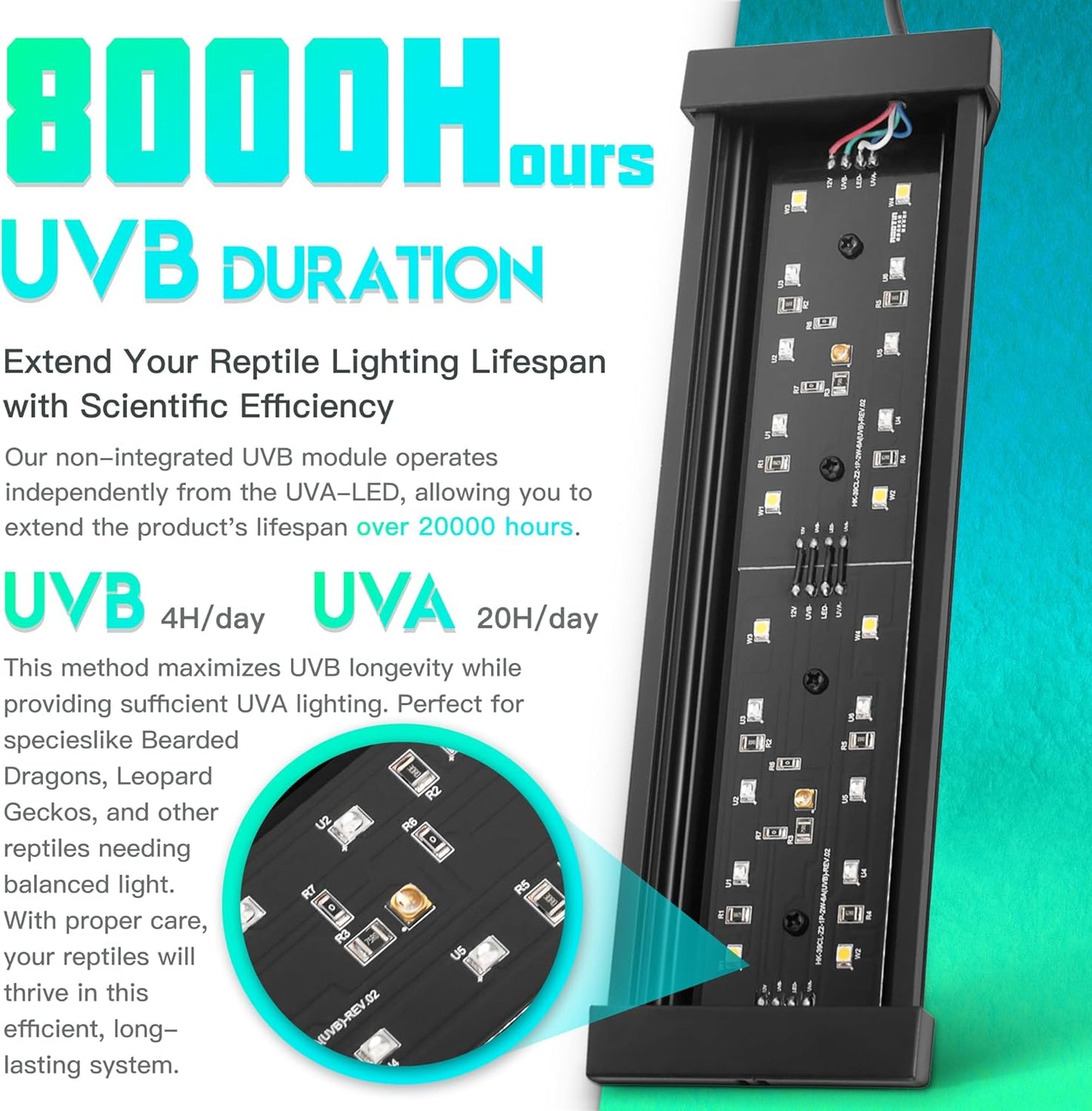 Dimmable LED Reptile UVB Lamp, 8000 Hours UVB Duration for Much Longer Lifespan, Adjustable 4/8/12-Hour Cycles, Suitable for Lizard and Chameleon, 12W, L Size