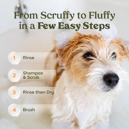 PAWFUME Deshedding Dog Shampoo and Conditioner, Show Dog, 1-Pack – Nourish & Detangle for Silky Soft Coat – Probiotic, Deep-Cleaning, pH-Balanced Formula – Salon-Quality Shampoo for Dogs