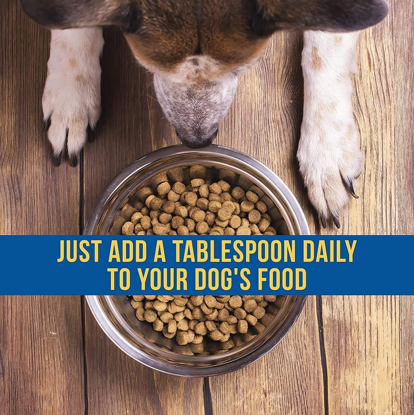 Shed-X Liquid Dog Supplement, 8oz – 100% Natural – Helps Dog Shedding, Fish Oil for Dogs Supports Skin & Coat, Dog Oil for Food with Essential Fatty Acids, Vitamins, and Minerals