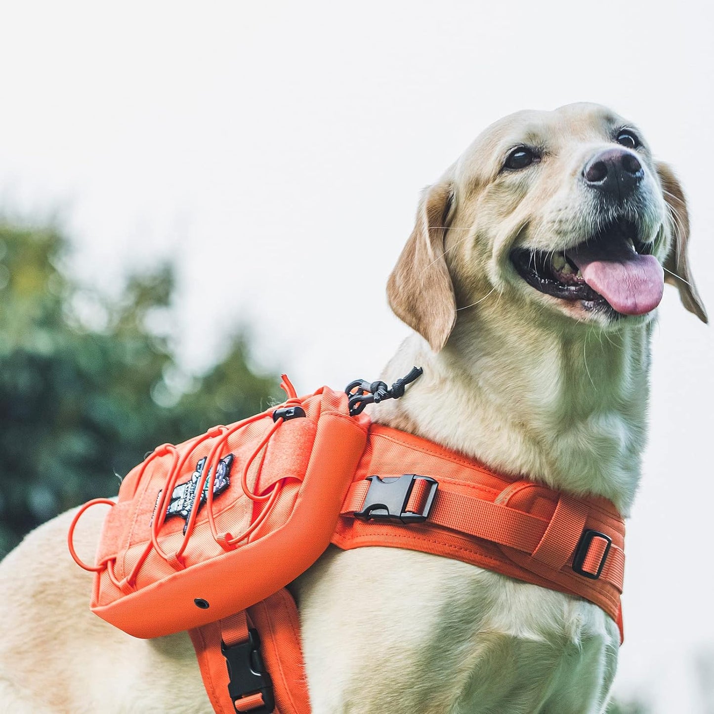 OneTigris Dog Backpack for Medium & Large Dogs, Mammoth Nylon Dog Pack Tactical Backpack Harness with Side Pockets for Hiking Walking Training Running