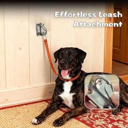 Dog Hooks for Wall, Dog Tie Out in The Yard, Indoor Dogs Leash Hook, Stainless Steel Construction, Perfect for Small, Medium & Large Dogs (2-Pack)