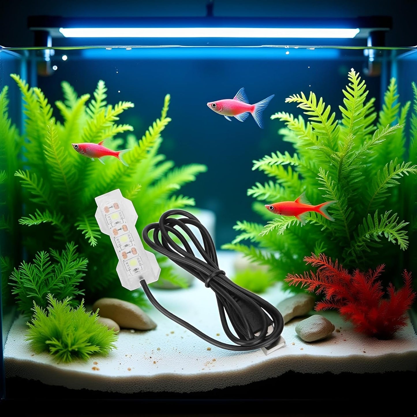 Blue Light Small Aquarium Led Light, Multicolor Led Fish Tank for Freshwater Plants Aquarium Accessories，Fish and Aquatic Pets, Pet Supplies
