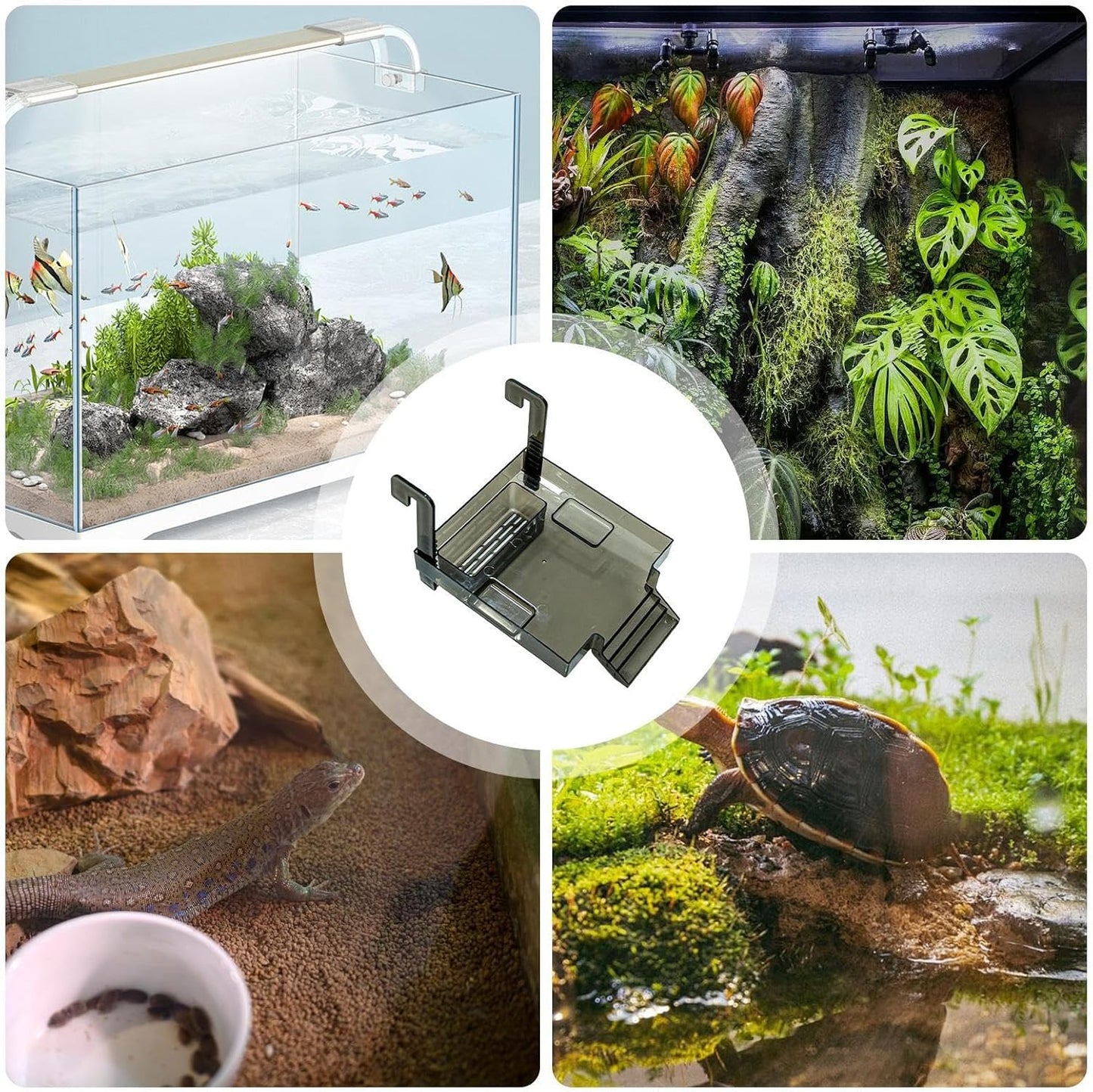 Basking Dock for Aquatic Turtles - Resting with Stairs - Turtle Tank Basking Area - for Frog Terrapin Salamanders Crabs Tortoise Balcony Hotel Restaurant