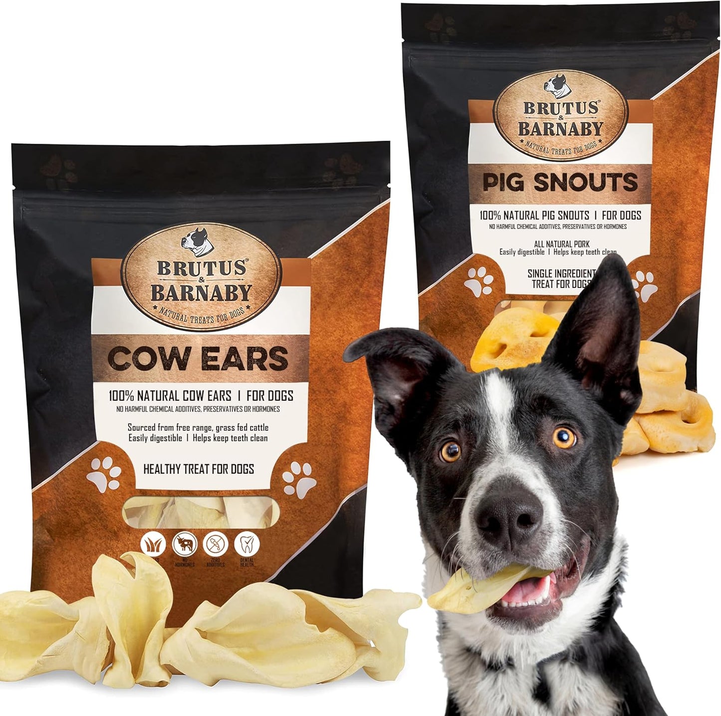 BRUTUS & BARNABY 12 Cow Ears + 10 Pig Snouts