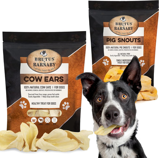 BRUTUS & BARNABY 12 Cow Ears + 10 Pig Snouts