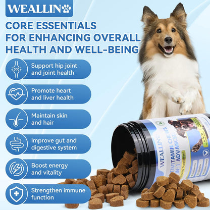 Dog Vitamins & Dog Probiotic Chews