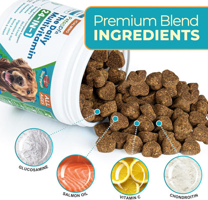 24-in-1 Dog Multivitamin Supplement with Gifted Chew Bone & Pet Comb, 210 Calming Chews, Dog Vitamins with Chondroitin & Probiotics, Hip & Joint, Immune Support, Beef Flavor