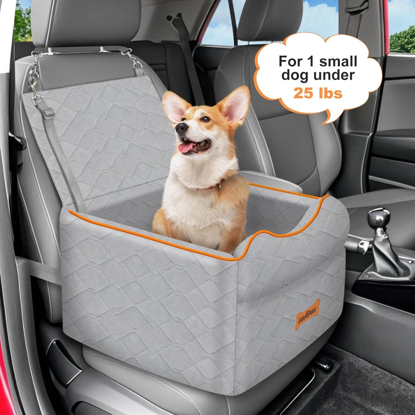 Small Dog Car Seat, Waterproof Dog Booster Seat with Thick Cushion & Safety Leash, Removable Car Back Seat Bed for 1 Small Dogs Under 25lbs, Pet Car Seat for Travel, Gray