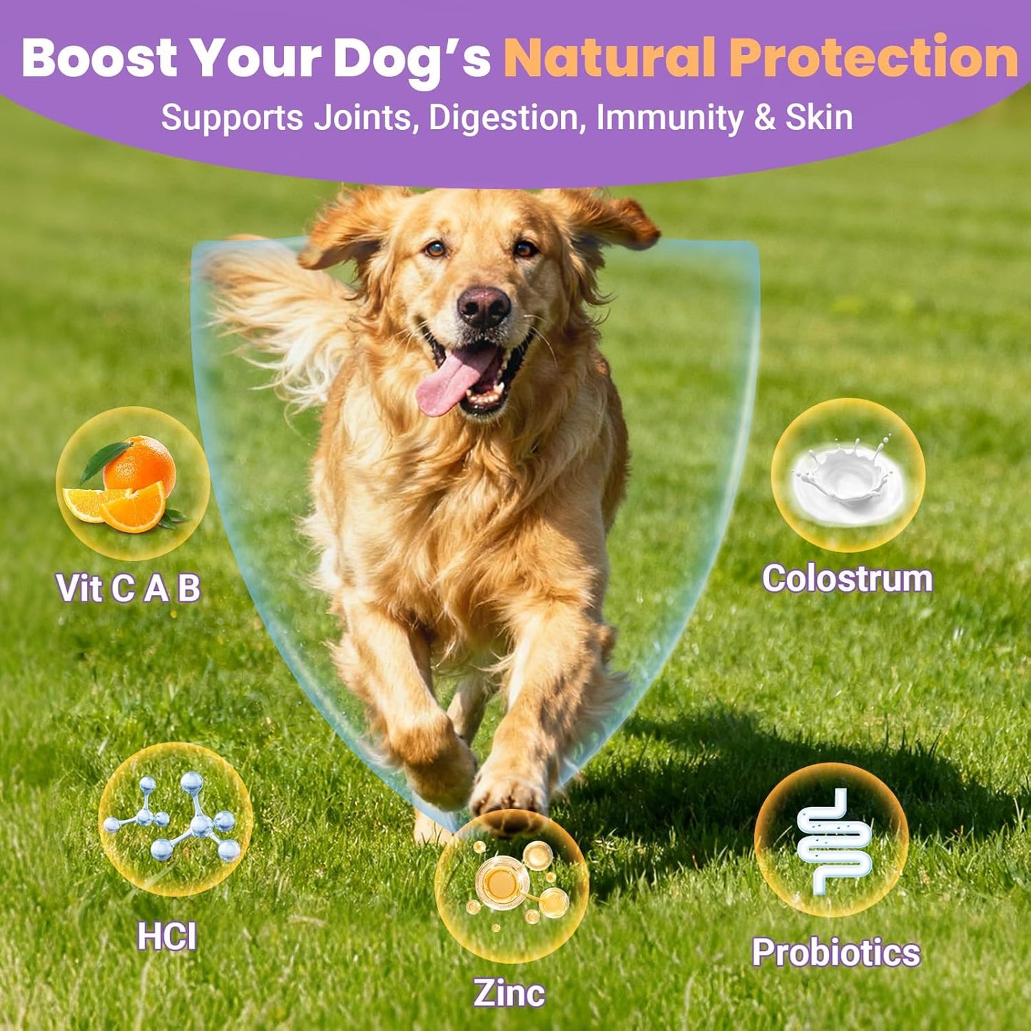 Dog Multivitamin 25 in 1 Chewable Dogs Vitamins Supplements Treats for Pet Omega-3 Glucosamine Vitamin for Puppy Supplies Skin Coat, Heart, HIPS & Joints, Digestion & Immune System 100pcs