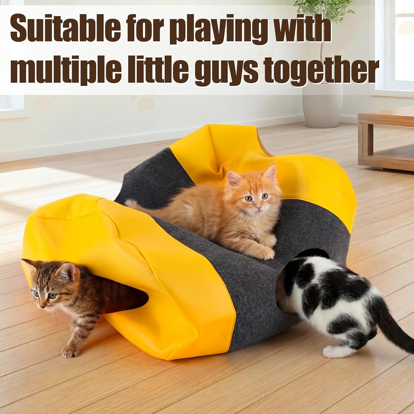 Cat Play Mat