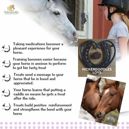 Horse Treats - 5 lb Pail - Effortlessly Give Medications with Our Soft Baked Treats - Training Treats are The Perfect Motivator - No Additives or Preservatives Handles May Vary