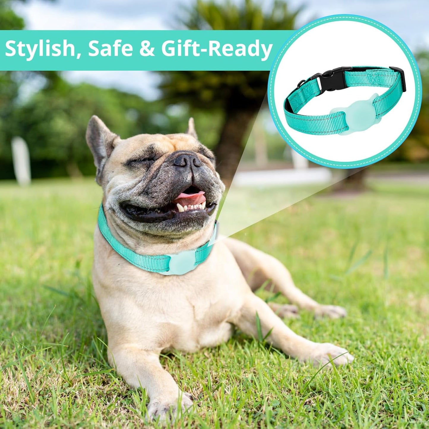 Airtag Dog Collar with Air Tag Holder, Adjustable Reflective Pet Collar with Soft Padding,Durable Nylon Collar for Tiny Small Medium Dogs, Easy Install Design (Turquoise Blue,S)
