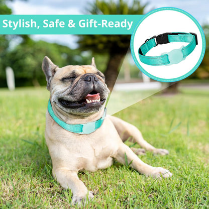 Airtag Dog Collar with Air Tag Holder, Adjustable Reflective Pet Collar with Soft Padding,Durable Nylon Collar for Tiny Small Medium Dogs, Easy Install Design (Turquoise Blue,S)