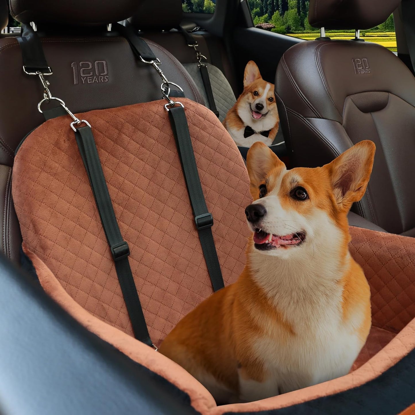 Dog Car Seat for Small Dogs,2 Adjustable Safety Puppies Leashes,Memory Foam with Soft Fabric Pets Travel Car Bed with Non-Slip Bottom,Easily Installed in Front and Back Seats,Removable and Washable.