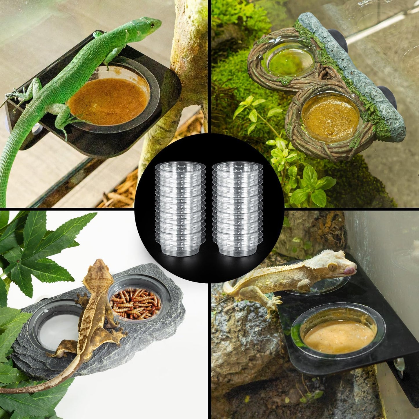 REPTIZOO 30PCS Feeding Cups for Reptile Magnetic Feeder Ledge, Replacement Cups for REPTIZOO Food Water Feeder Dish Gecko Feeding Ledge