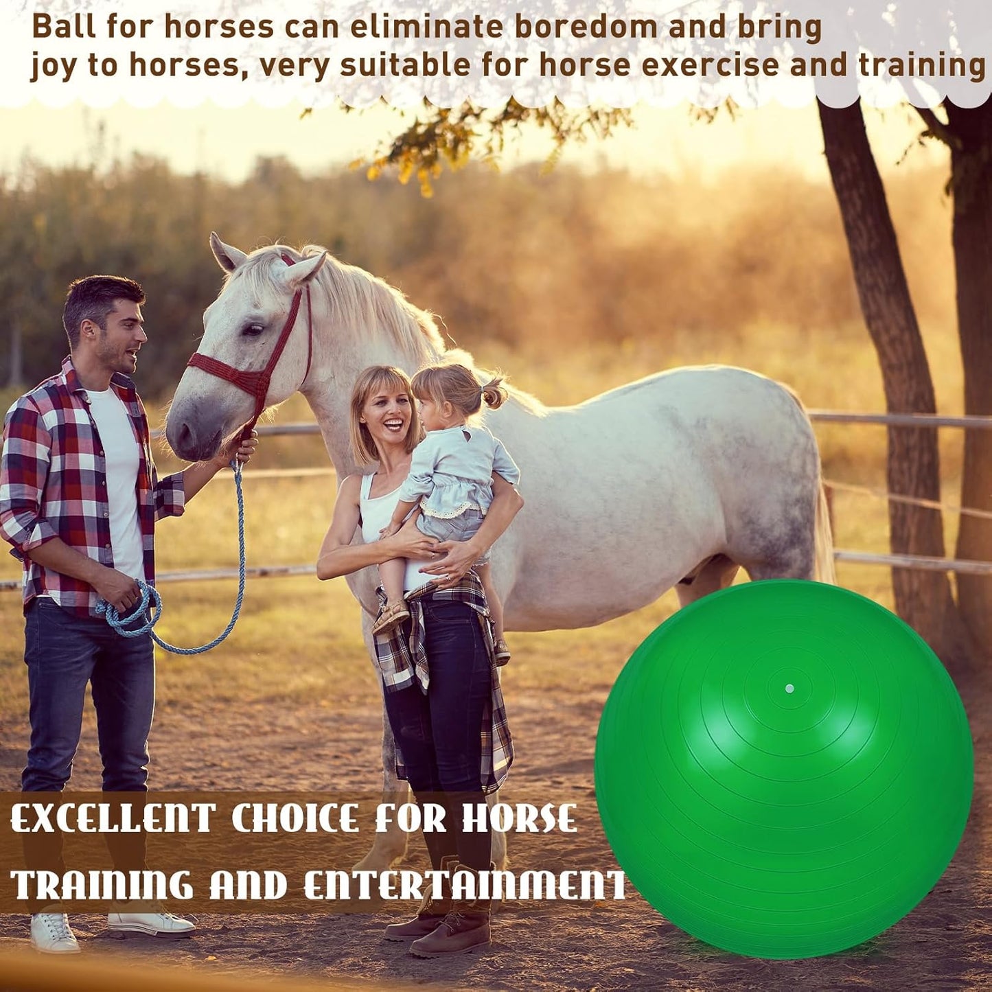 Sotiff 2 Pcs 40 Inch Horse Ball for Play Large Horse Big Equine Herding Anti Burst Dog Ball Soccer Giant, Pump Included(40 Inch,Green, Blue)