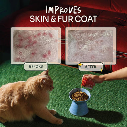 Notti Itchy Skin Allergy Relief - Omega 3 Fish Oil - Itchy Ears - High Concentration - Norwegian Salmon & Krill Oil Pet Supplement for Cats and Dogs - DHA - Probiotics - Joint